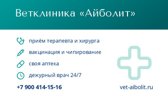 Ветклиника «Айболит»