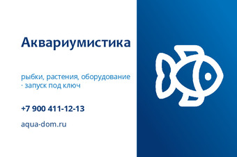 Аквариумистика