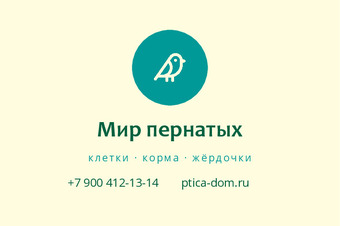 Шаблон макета «Мир пернатых»