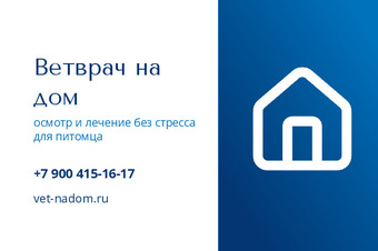 Ветврач на дом