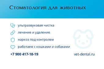 Стоматология для животных