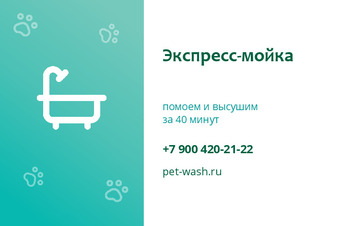 Шаблон визитки «Экспресс-мойка»