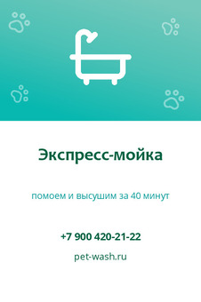 Визитка мойки для собак «Экспресс-мойка» — лицевая сторона