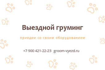 Выездной груминг