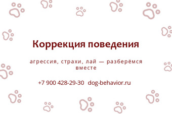 Шаблон визитки «Коррекция поведения»