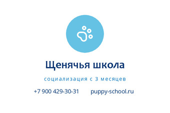 Шаблон визитки «Щенячья школа»